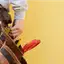 Handyman repair service in Stamford, CT for home fixes and improvements
